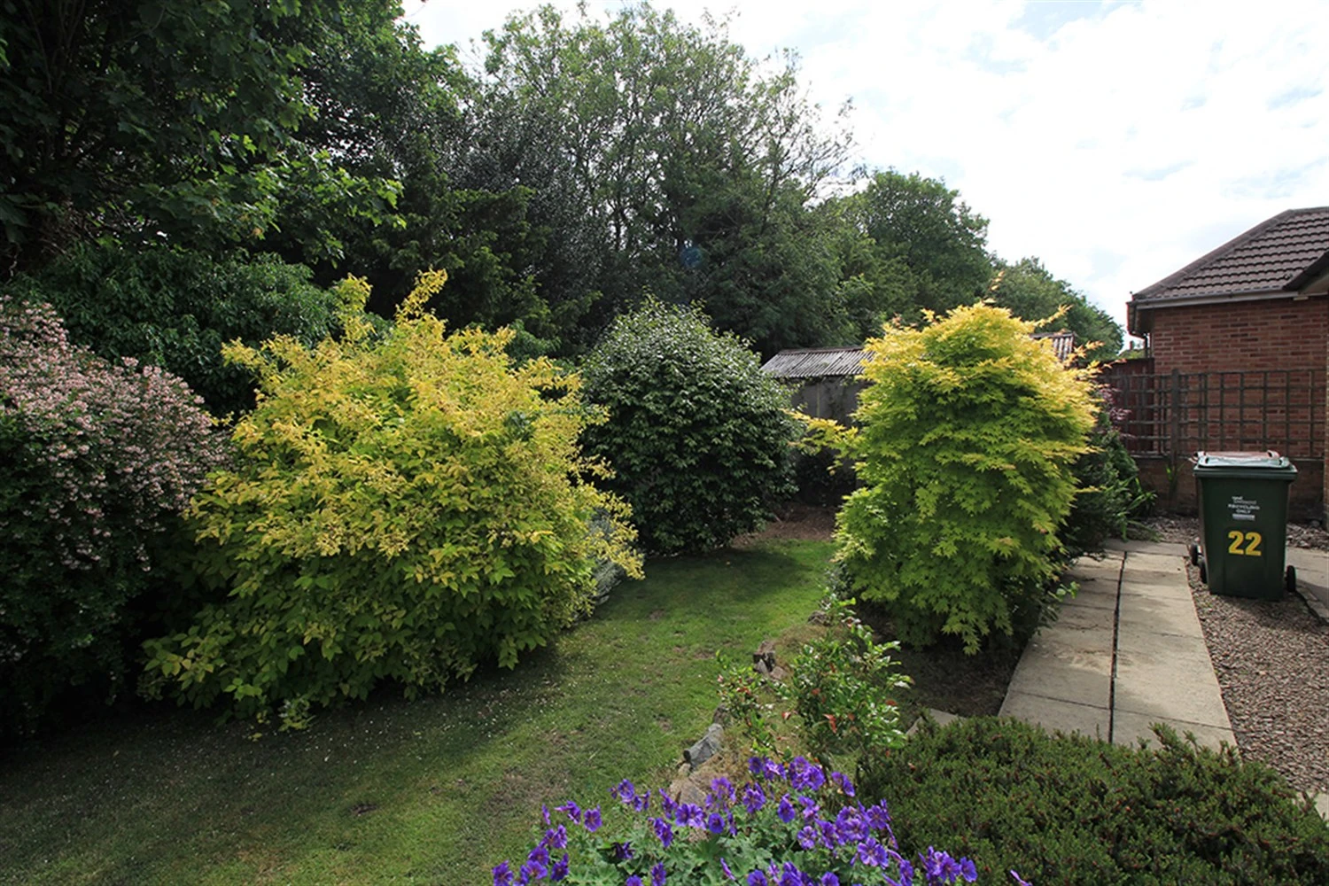 Garden