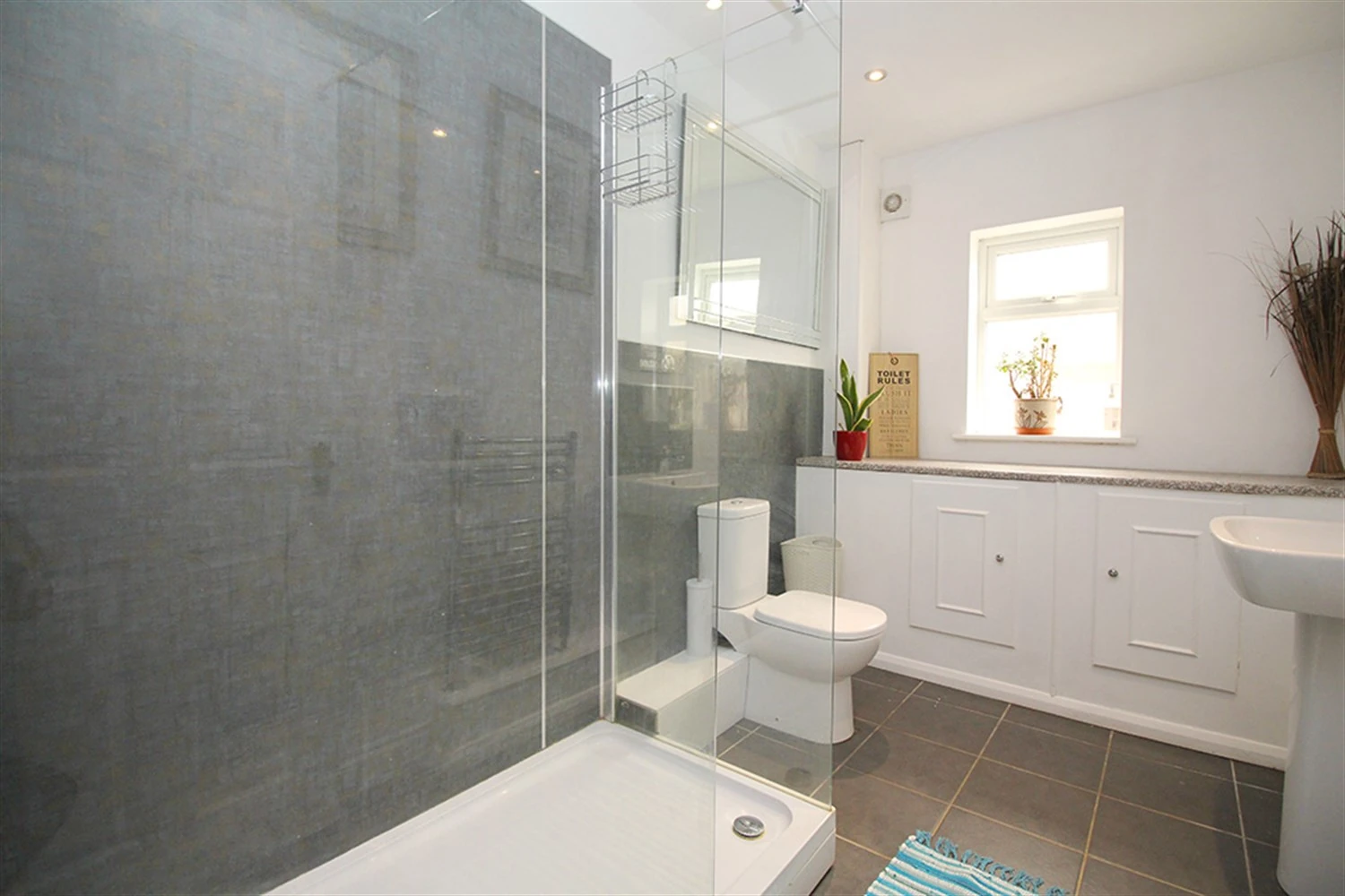 Downstairs Shower Room
