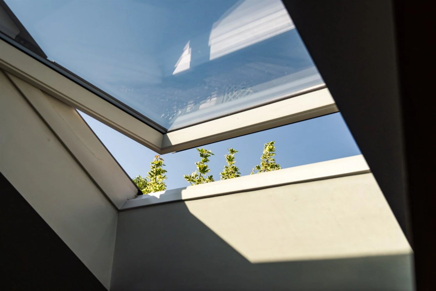 Window