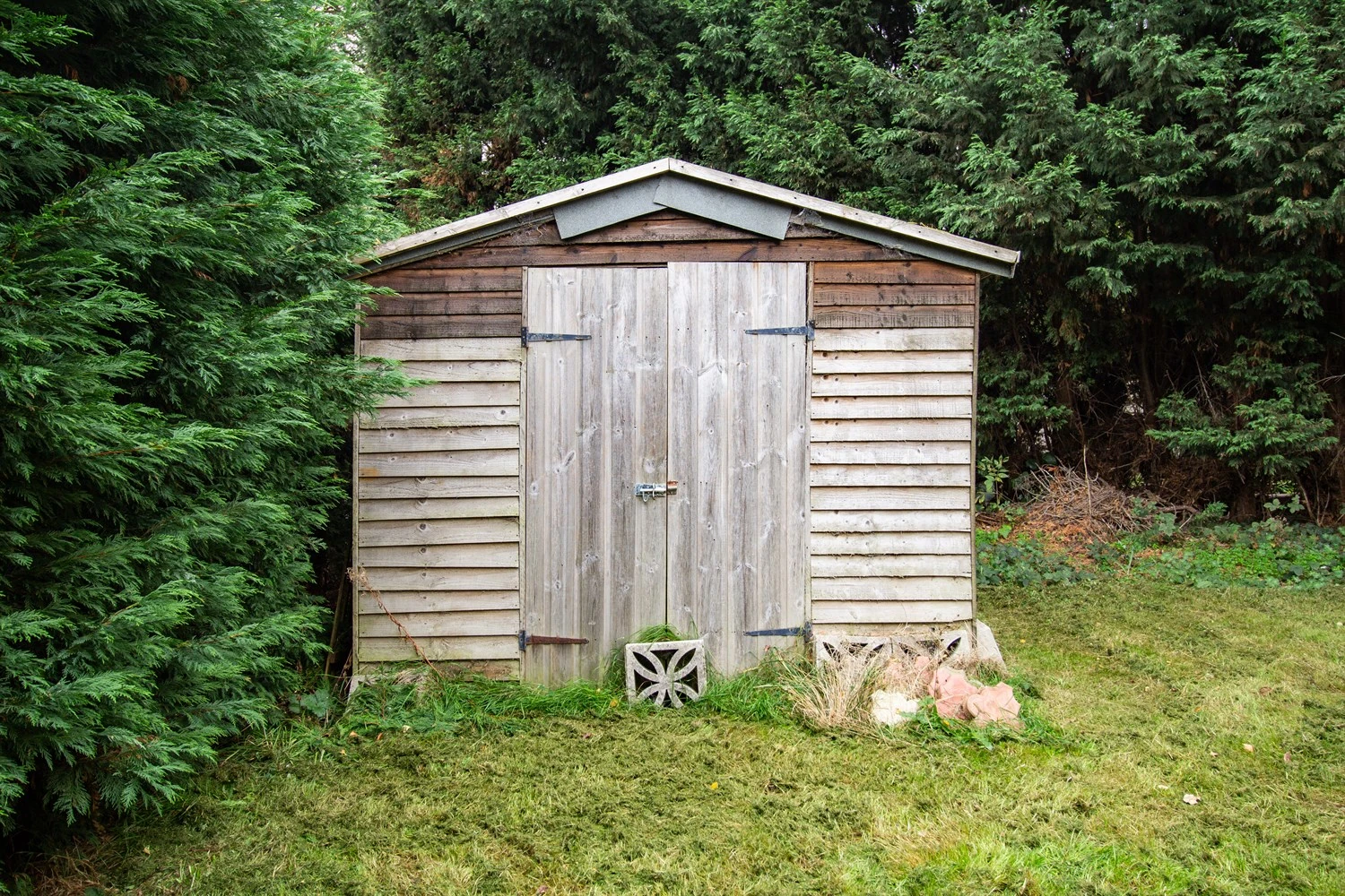 Shed